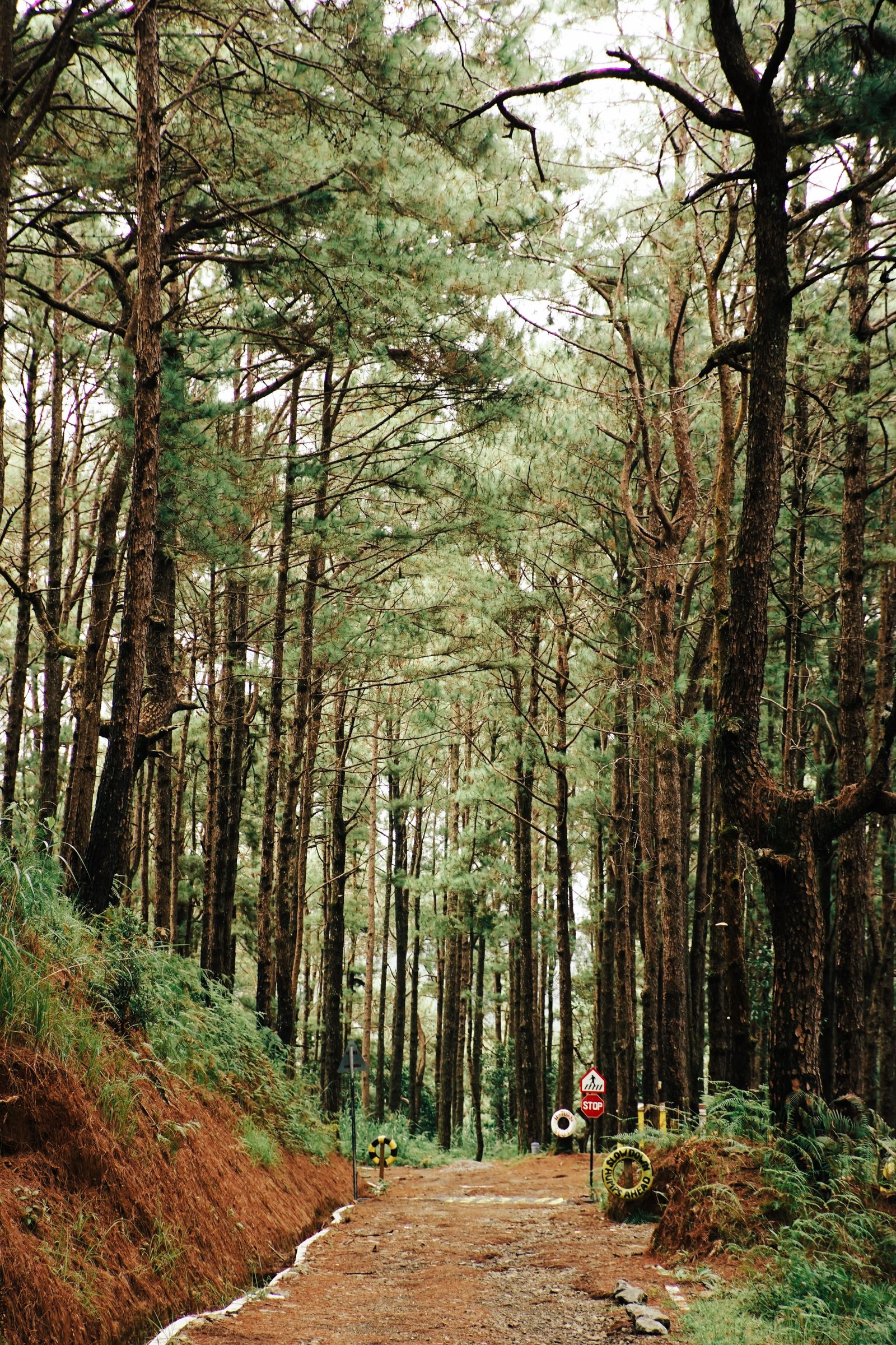 Delhi to Dhanaulti taxi route